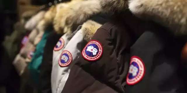 万人迷“加拿大鹅”要上市，揭秘凭什么这些老树能开花