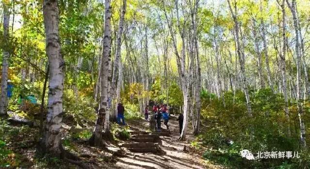 北京最美赏花公园在哪,北京赏花公园景点推荐