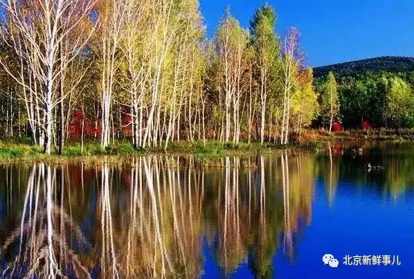 北京最美赏花公园在哪,北京赏花公园景点推荐