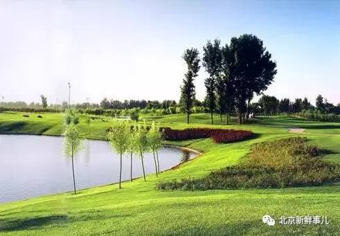 北京最美赏花公园在哪,北京赏花公园景点推荐