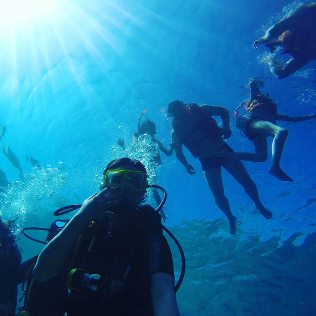 扔掉秋衣秋裤,冬天带你去撒欢儿