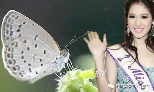 玩转英语词汇大全,玩转英语单词速记