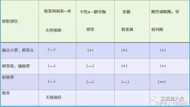 5分钟读懂“精浆生化”检查单，有图有真相