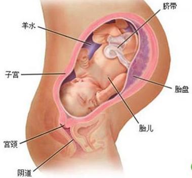 生孩子怎么开十指,女人生孩子开十指