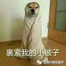 澳洲留学生的辛酸,澳洲留学生的套路