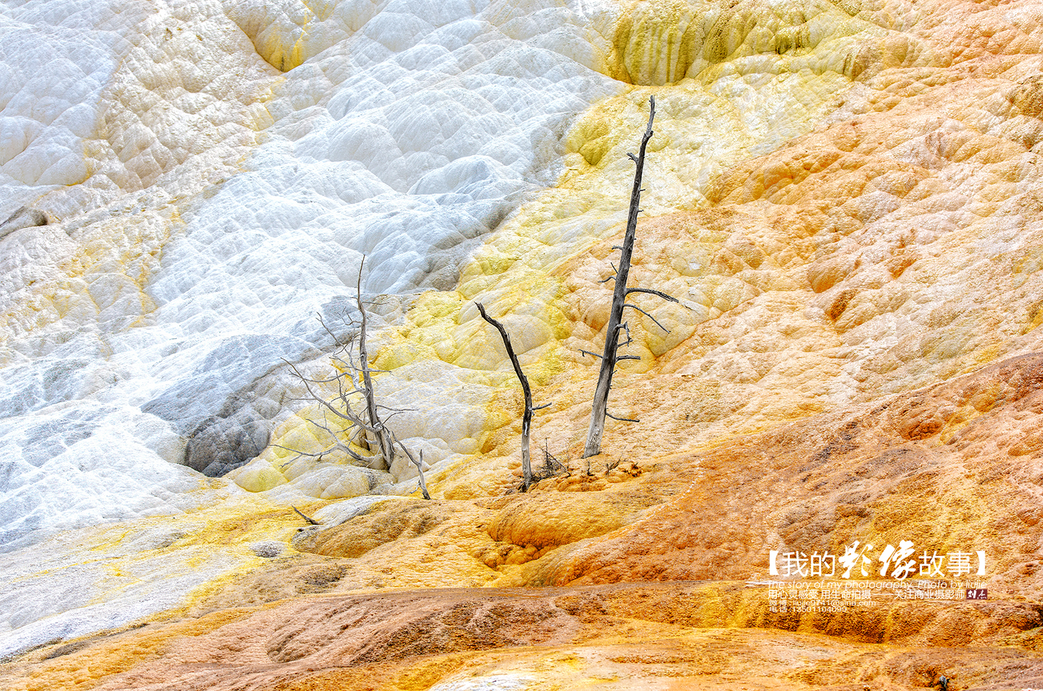 黄石公园十大景点排名表最新,国家地理公认前十景点