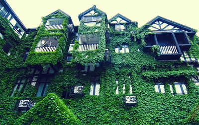 小伙想增高，却险些丧命，没想到峰回路转抱得美人归