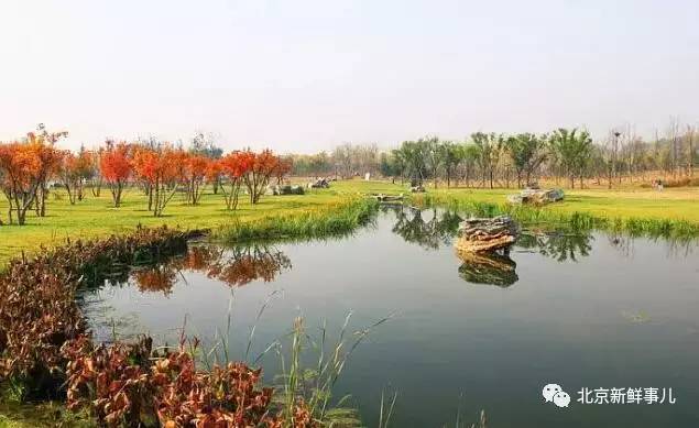 北京最美赏花公园在哪,北京赏花公园景点推荐