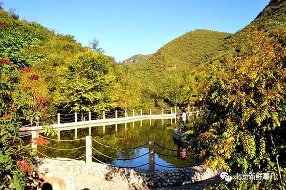 北京最美赏花公园在哪,北京赏花公园景点推荐