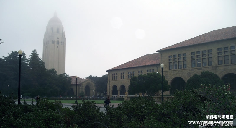 2021全球名校排行榜,2022全球名校排名100位