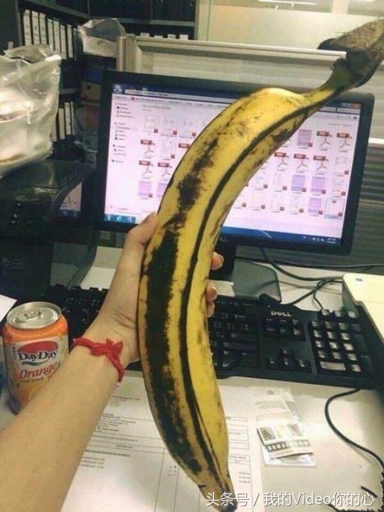 趣图：别人的足球场在脚下，而他，把足球场顶在头上的男人！