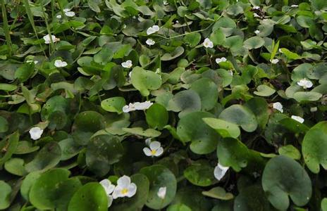 适合大学生的100个创业小项目,适合学生的0成本创业项目有什么