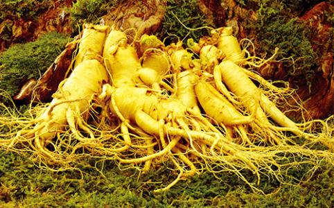 坐月子最禁忌的六种食物，一定牢记！