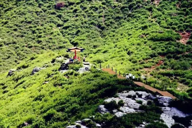 呼和浩特和包头哪个城区大,内蒙古包头和呼市哪个地方大