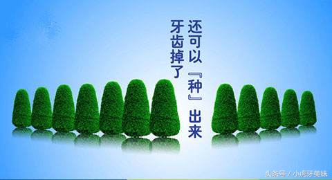 老年人适合的镶牙种类和价格,老年人镶牙选哪种牙比较靠谱