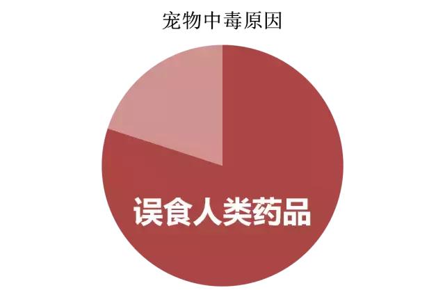 宠物不能喂人用的药,科普宠物不能吃的人类药品