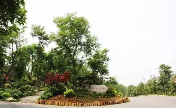 威海踏春有什么好玩的地方,威海踏青十大地方