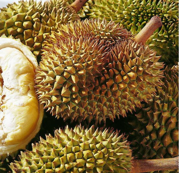 水果怎么挑选视频,水果展示柜和风幕柜