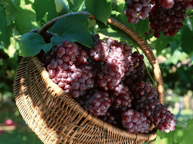 水果怎么挑选视频,水果展示柜和风幕柜