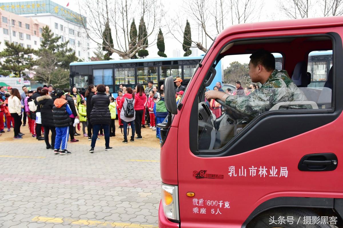 为什么让小学生上山植树造林，看完老师写的图文就明白
