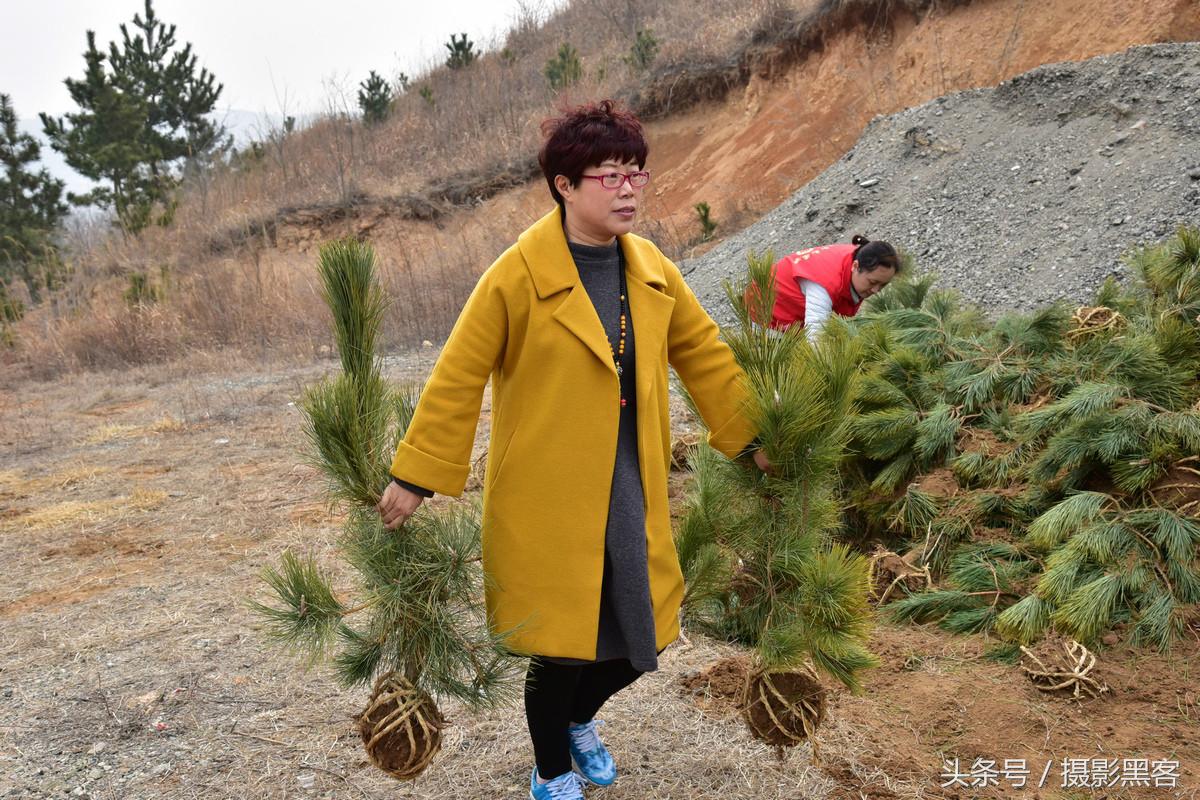 为什么让小学生上山植树造林，看完老师写的图文就明白