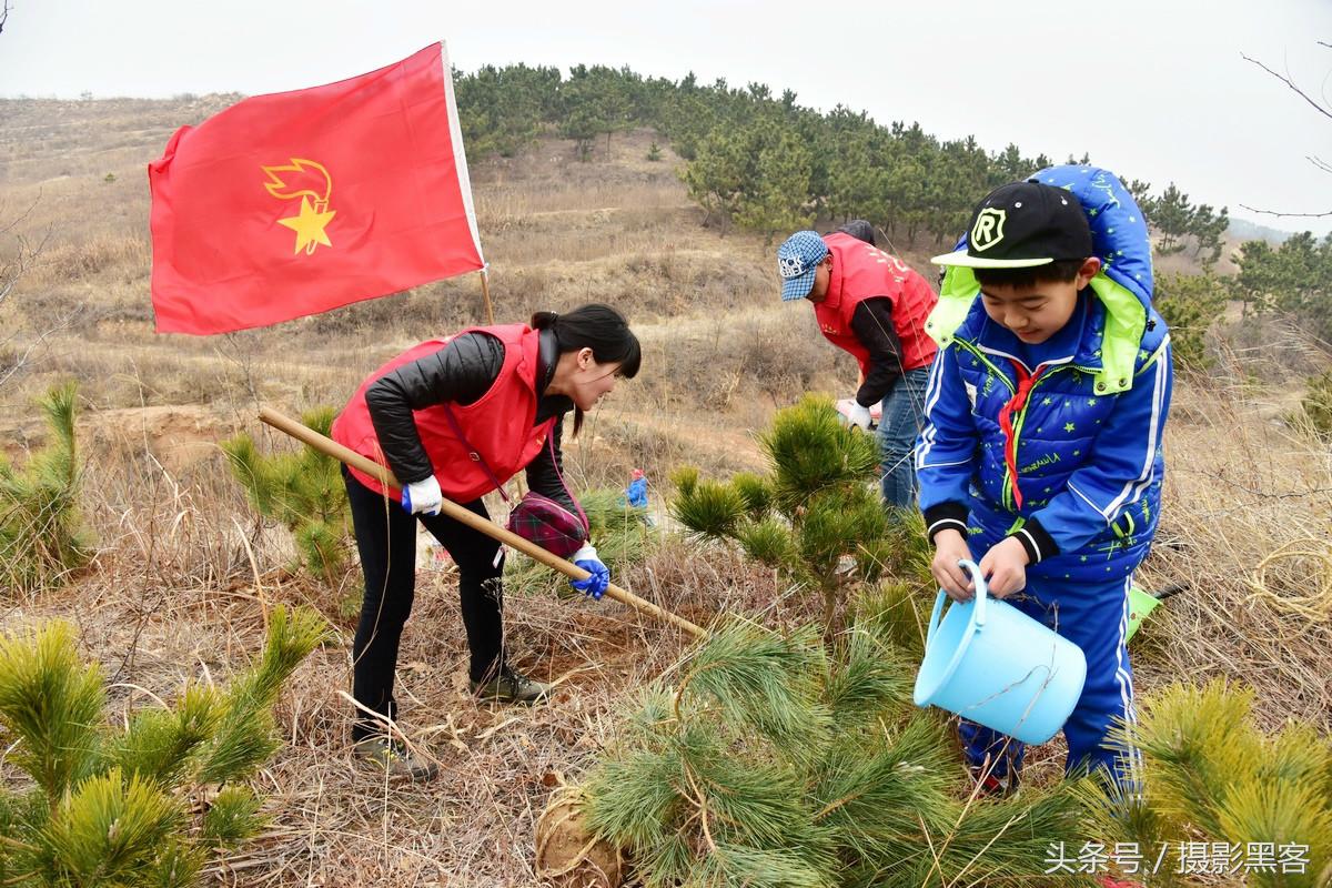 为什么让小学生上山植树造林，看完老师写的图文就明白
