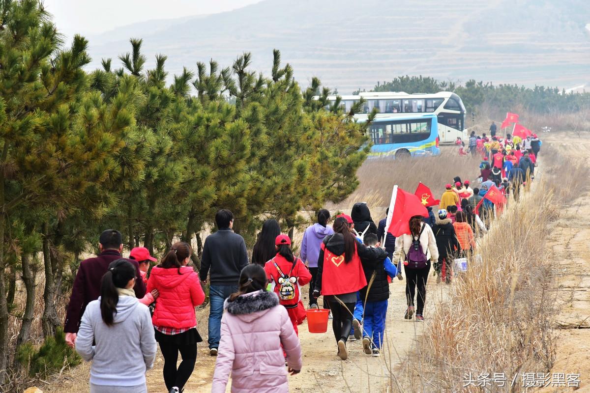 为什么让小学生上山植树造林，看完老师写的图文就明白