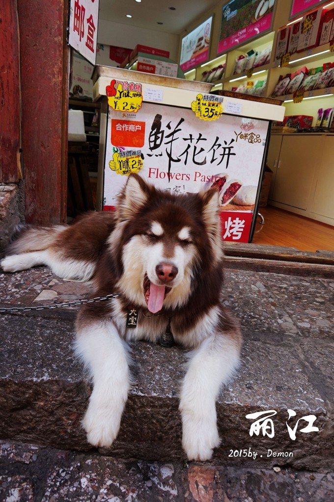 彩云以南，我们终于出发の我带着你，你带着钱！