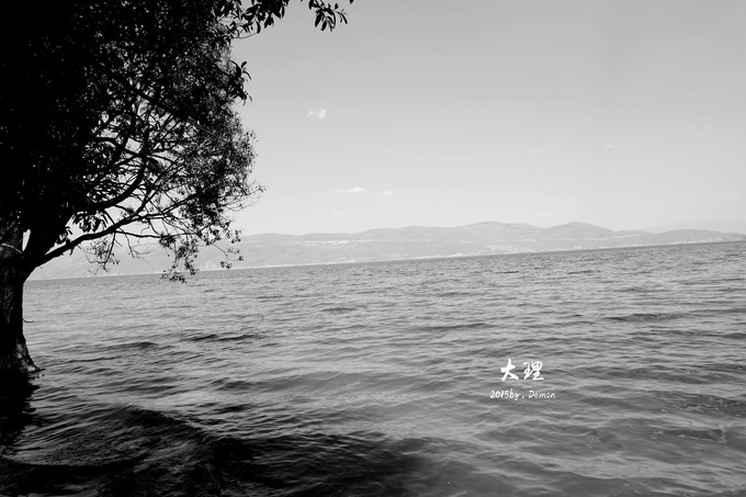 彩云以南，我们终于出发の我带着你，你带着钱！