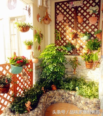 遗憾没有阳光？背阴阳台也能打造幽静绿色花园