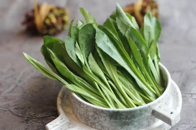 野菜鲜香嫩绿,野菜春天来