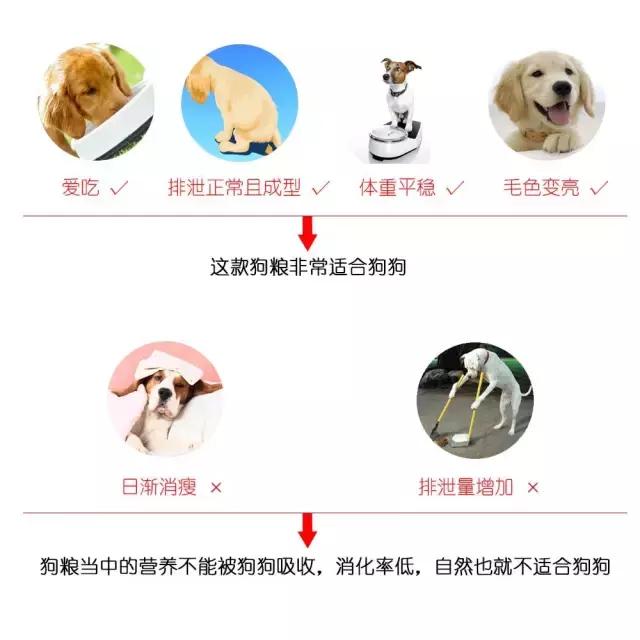 劣质狗粮会导致狗狗发臭吗,便宜的狗粮有什么危害