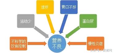 得了肾病怎么越来越瘦,得了肾病为什么感觉体质变差了