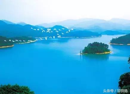 周末中山值得去打卡的地方,中山周末去耍的公园