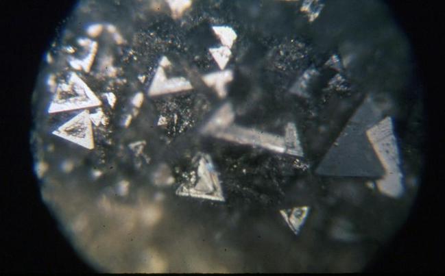 钻石是一位男士发明的，不过不是为了向女友献殷勤