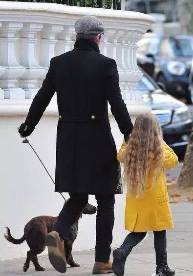 小区很多野狗,小区到处都是狗粑粑谁来管