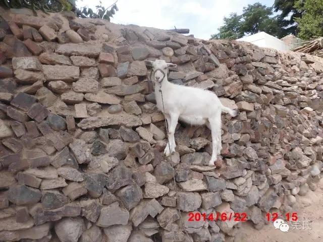 怀念故乡往日时光图片,怀念过去家乡的视频