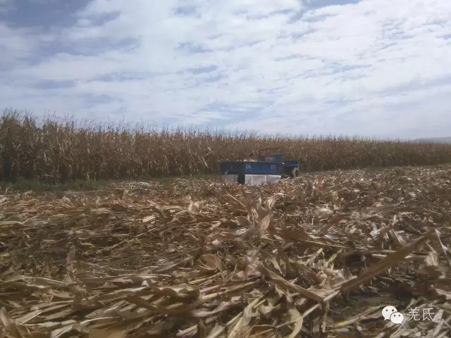 怀念故乡往日时光图片,怀念过去家乡的视频