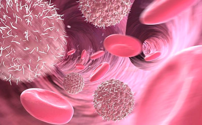 干细胞美容真的可靠吗 (什么是真正的干细胞美容的骗局)