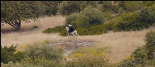 5个童话故事背后的骇人故事,荒诞的童话故事完整版