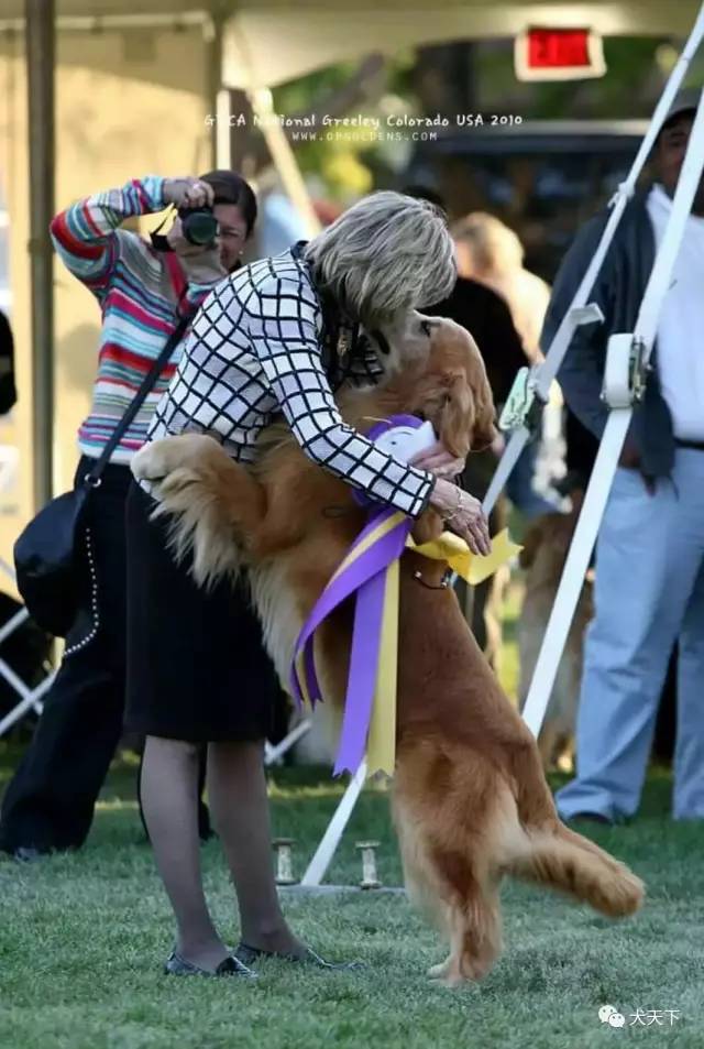 殿堂人物：采访美国金毛领军人物—TonyaStruble