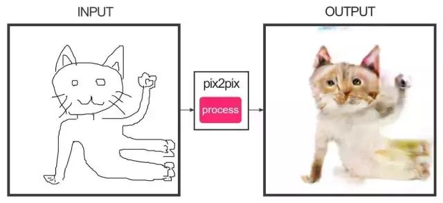 年轻人，想不想亲自去拍个猫片呀！