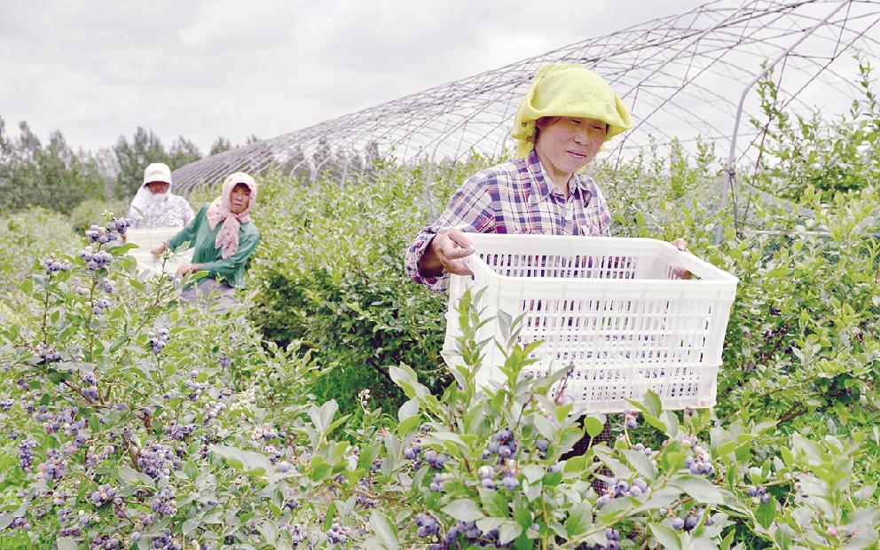农村土地产权改革作用,农村宅基地改革释放乡村振兴活力