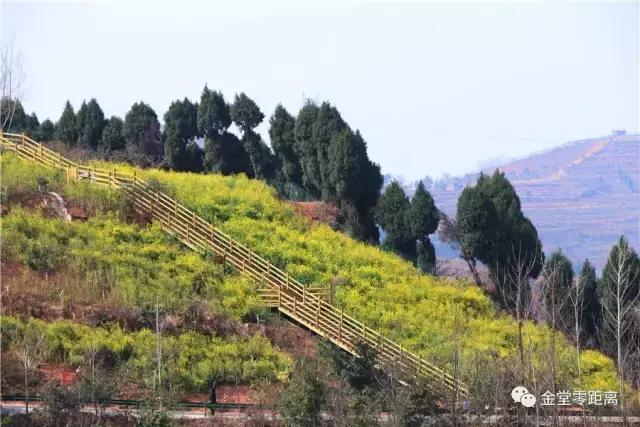 金堂官仓玉皇山门票免费吗,金堂官仓玉皇山养生谷