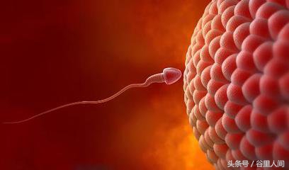 陈思诚讲马蓉,为何陈思诚和文章结局大不同