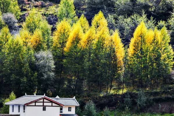 川西自驾游松潘过了下一站,川西经松潘自由行3天攻略