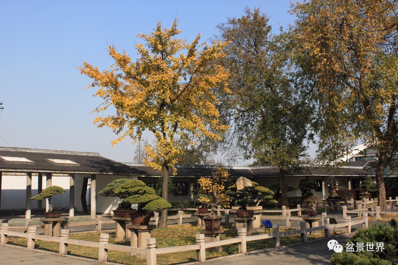 你有一份邀请函需要接收吗,你有一封来自最潮单品的邀请函