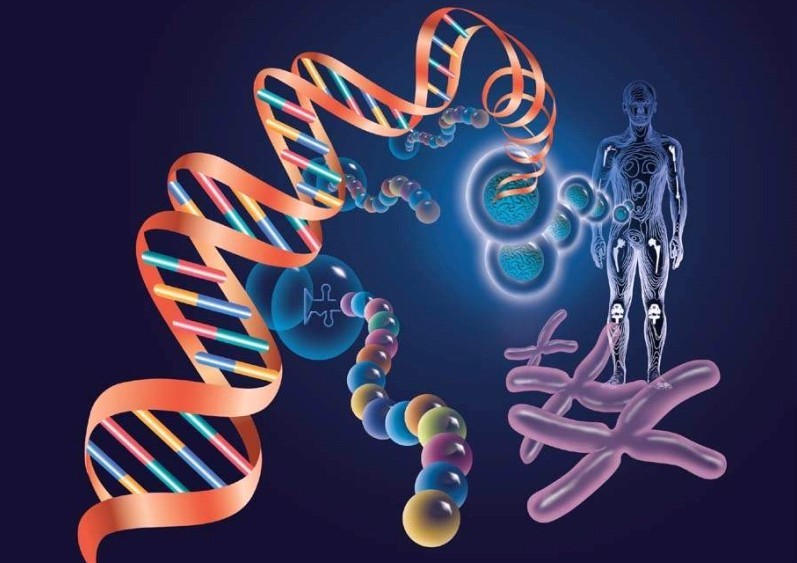 分子靶向药物副作用,常用分子靶向药物信息一览表