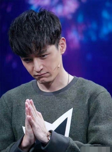 胡歌使用替身是怎么回事,胡歌的替身事件