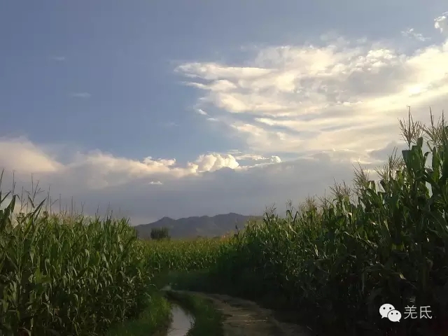 怀念故乡往日时光图片,怀念过去家乡的视频